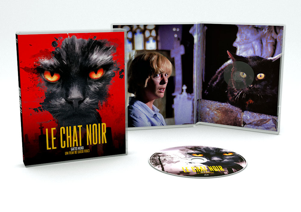 LE CHAT NOIR