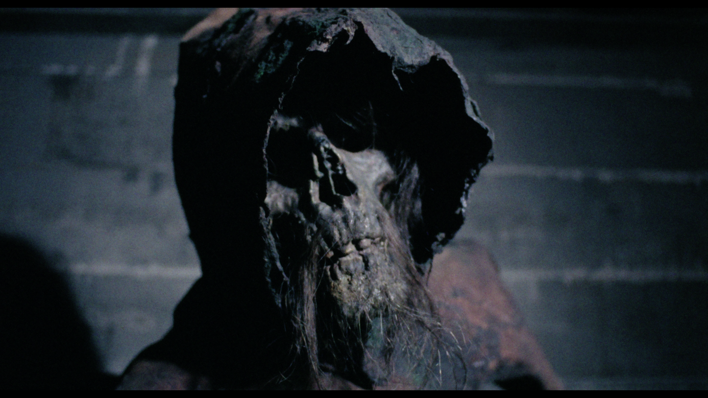 LE MONDE DES MORTS VIVANTS